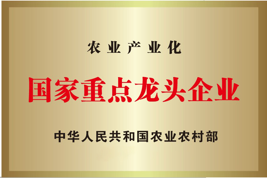 首页-UG环球视讯厅官方网站